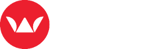 Wayback Downloaders
